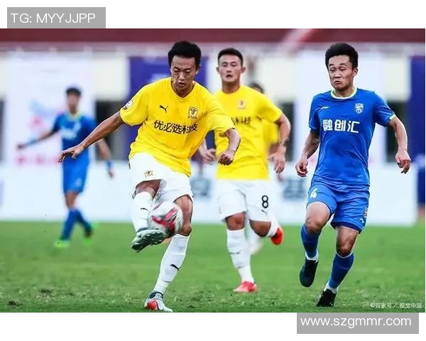 深圳排球队的战术掌控与团队协作分析探讨