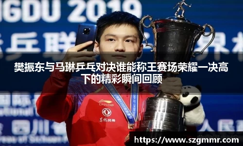 樊振东与马琳乒乓对决谁能称王赛场荣耀一决高下的精彩瞬间回顾